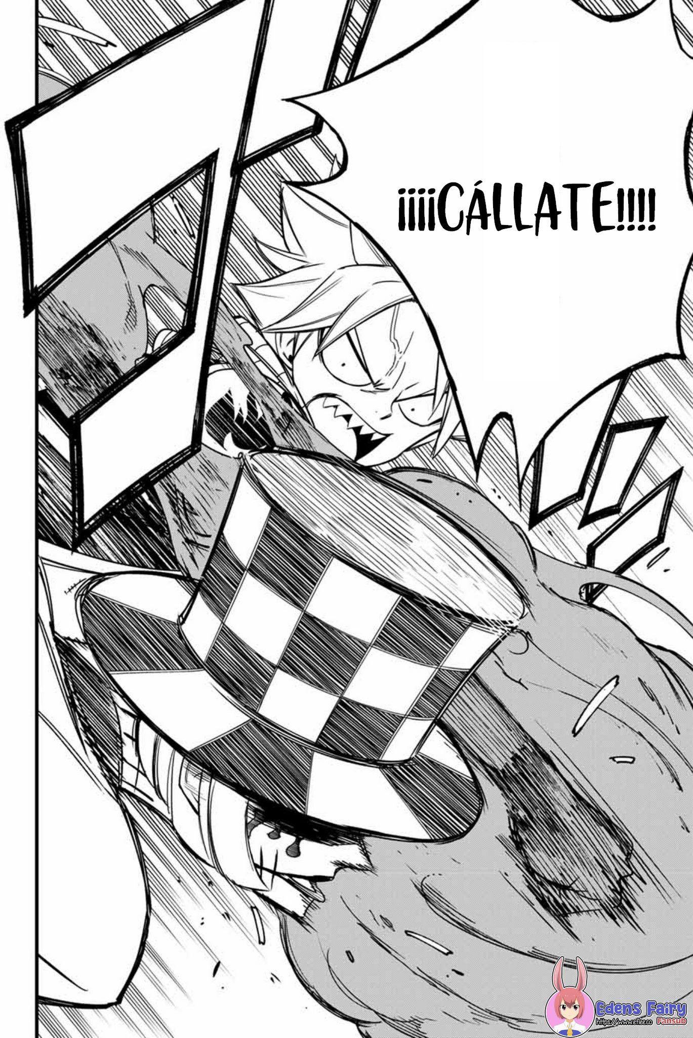 Fairy Tail: 100 Years Quest Capitulo 157: Fire and Flame página 13