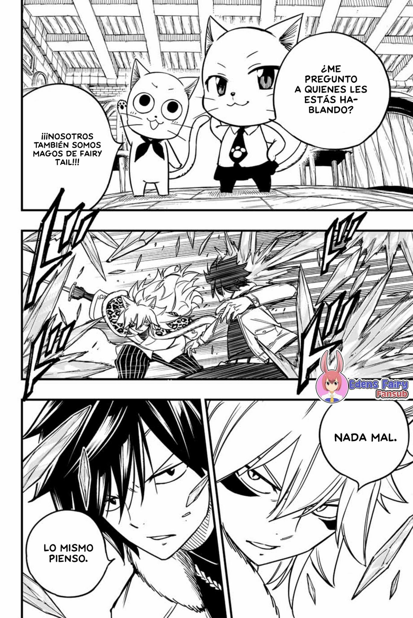 Fairy Tail: 100 Years Quest Capitulo 160: Los gatos también son magos página 12