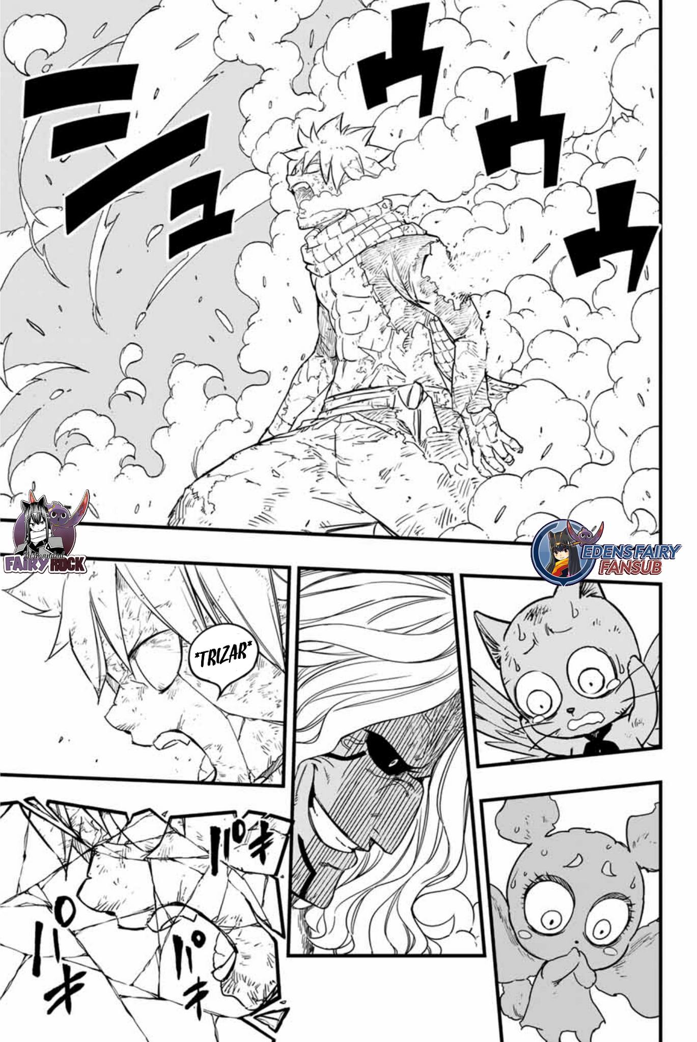 Fairy Tail: 100 Years Quest Capitulo 176: Esperanza destrozándose página 14