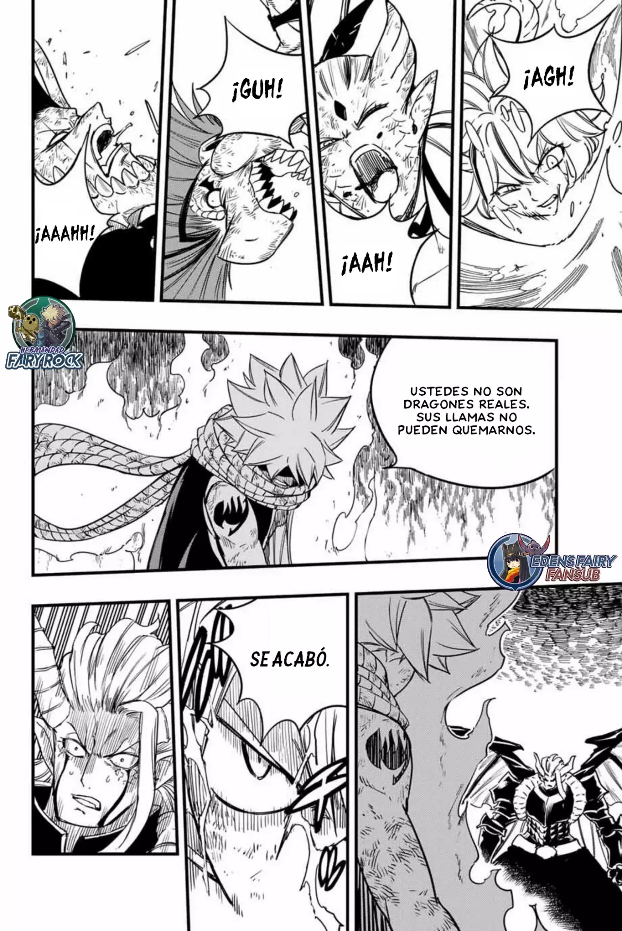 Fairy Tail: 100 Years Quest Capitulo 191: Dragones reales página 17