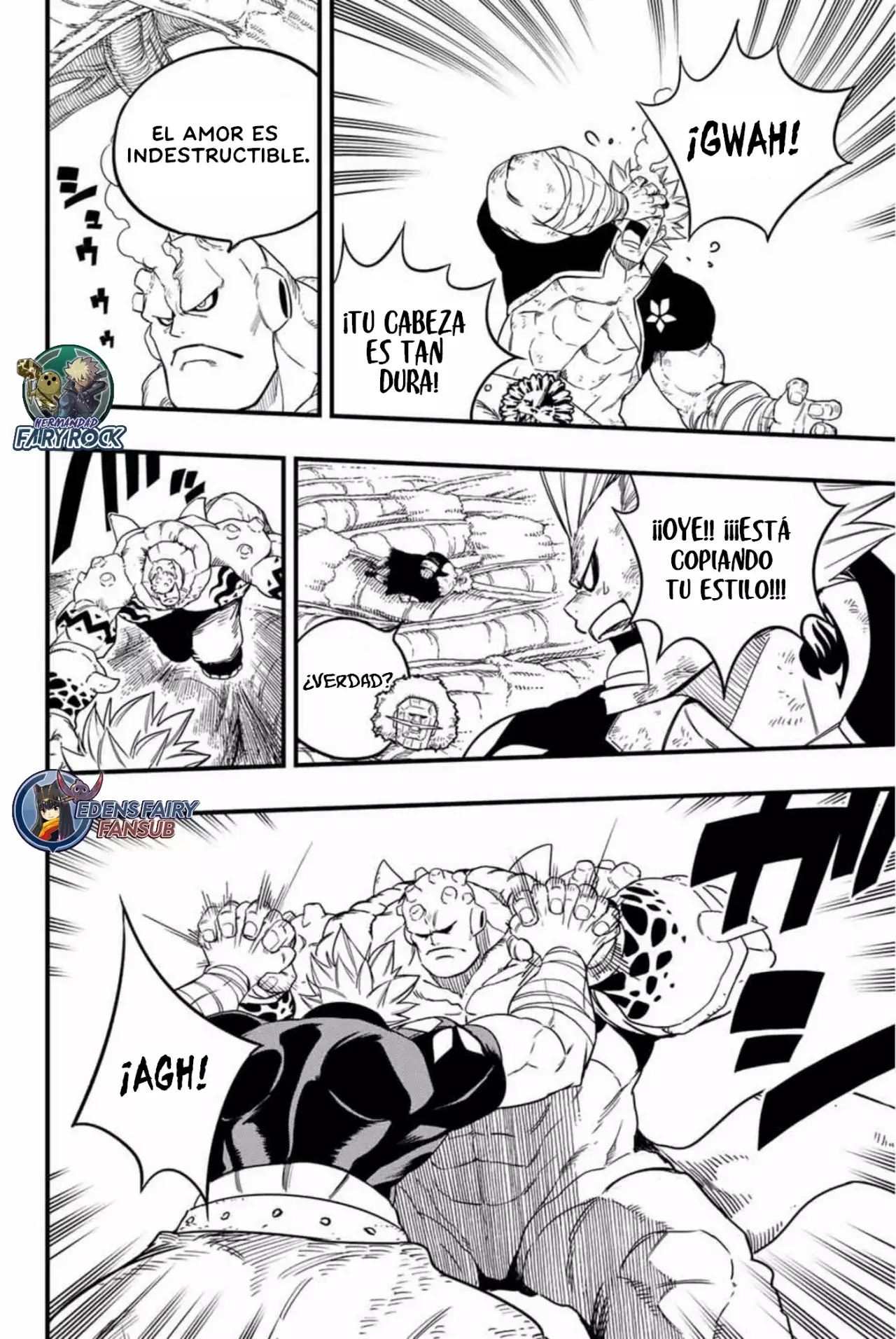 Fairy Tail: 100 Years Quest Capitulo 195: El amor es Hombre página 14