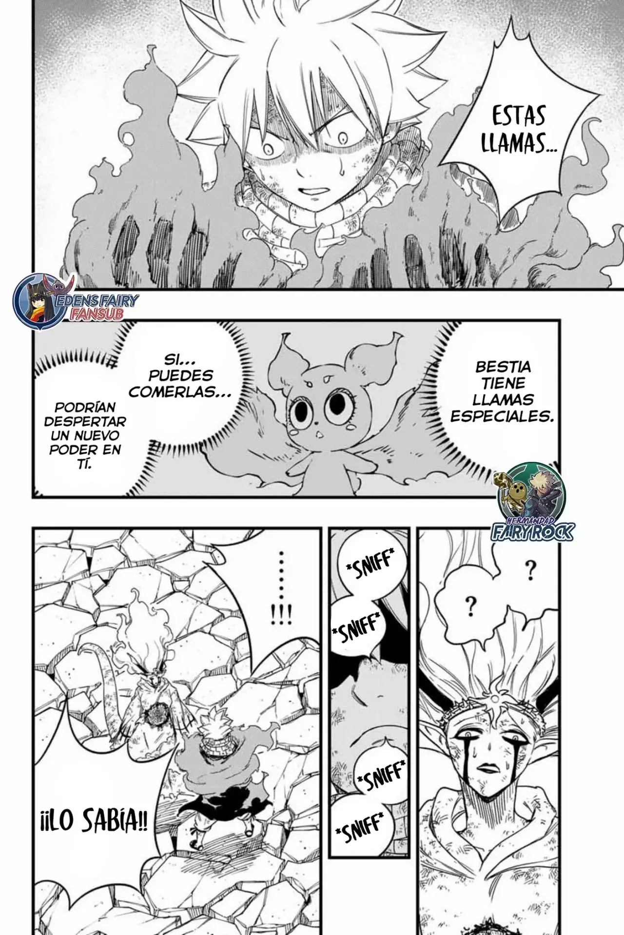 Fairy Tail: 100 Years Quest Capitulo 197: El olor de las llamas página 15