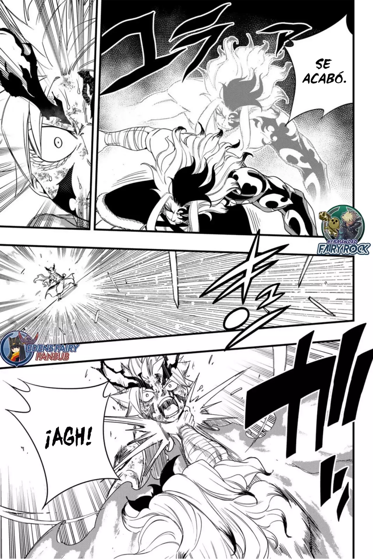 Fairy Tail: 100 Years Quest Capitulo 205: Llamas negras de la destrucción página 14