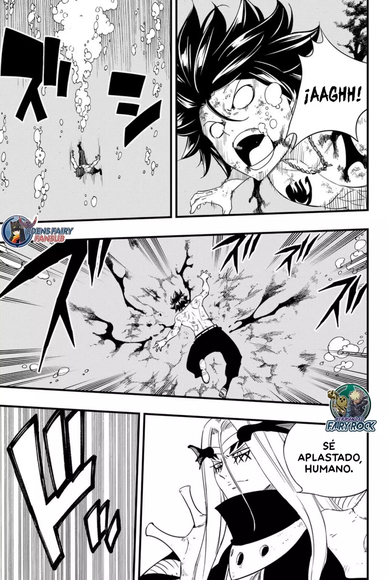 Fairy Tail: 100 Years Quest Capitulo 206: Una calamidad de Dragones página 10