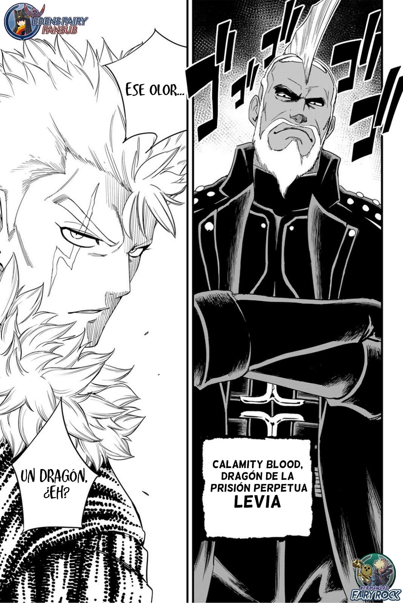 Fairy Tail: 100 Years Quest Capitulo 207 página 17