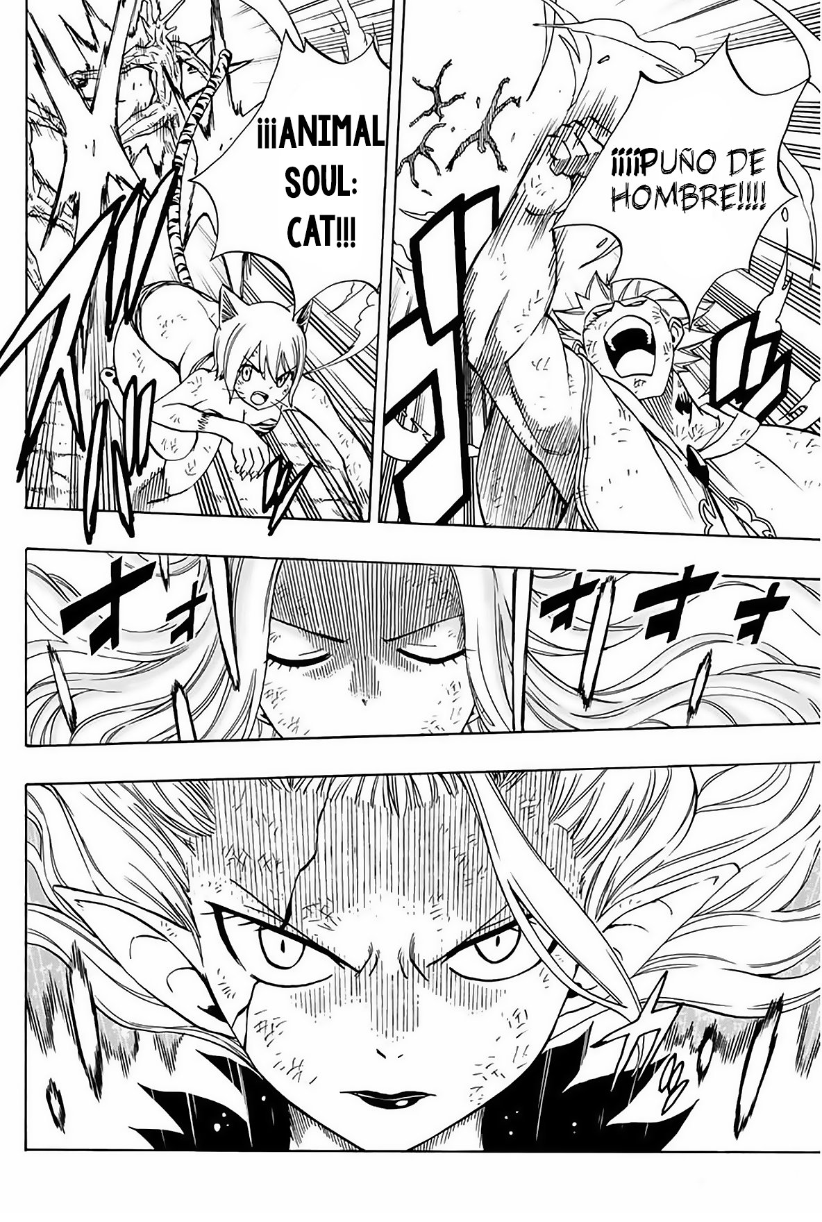 Fairy Tail: 100 Years Quest Capitulo 53: Preciosa Maldición página 7