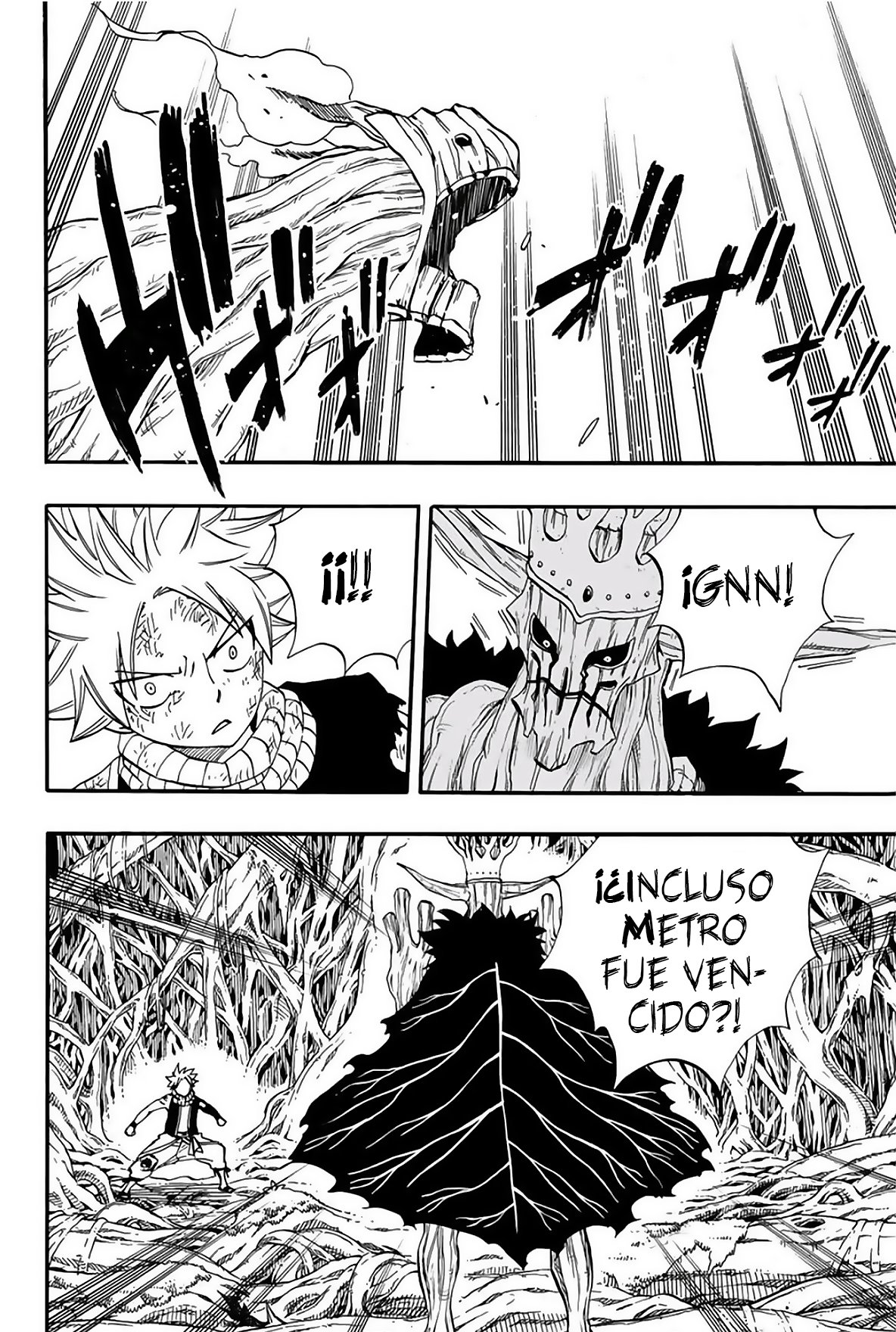 Fairy Tail: 100 Years Quest Capitulo 58: Hielo y Agua página 12