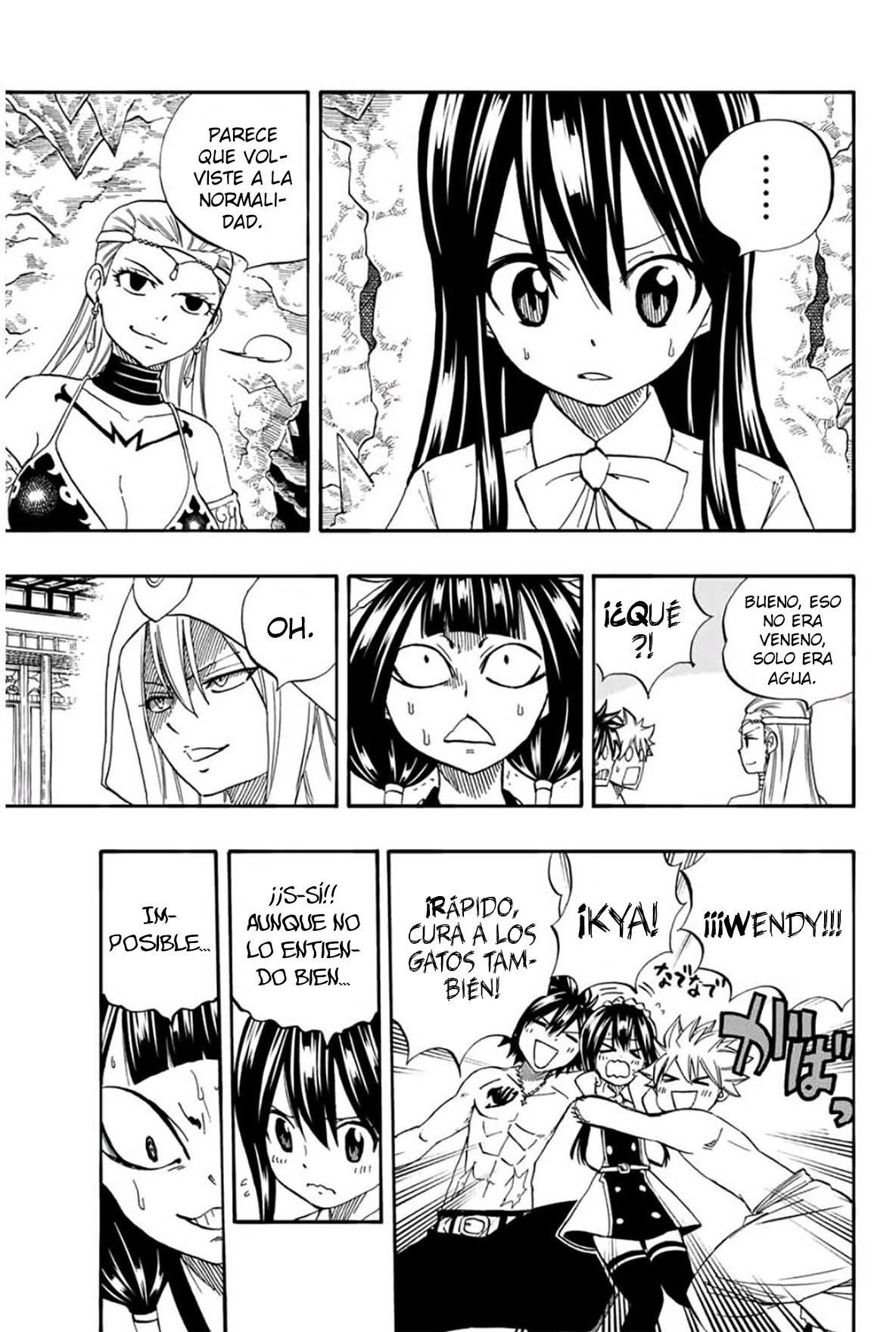 Fairy Tail: 100 Years Quest Capitulo 76: Formación de los tigres gemelos página 13