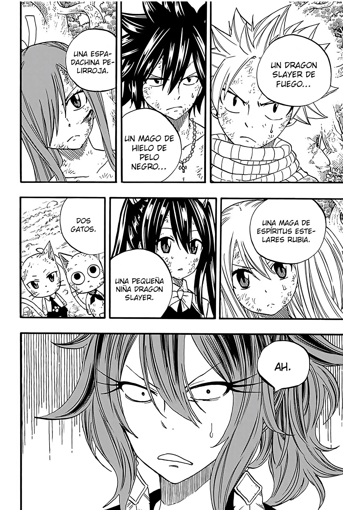 Fairy Tail: 100 Years Quest Capitulo 80: Suzaku página 12