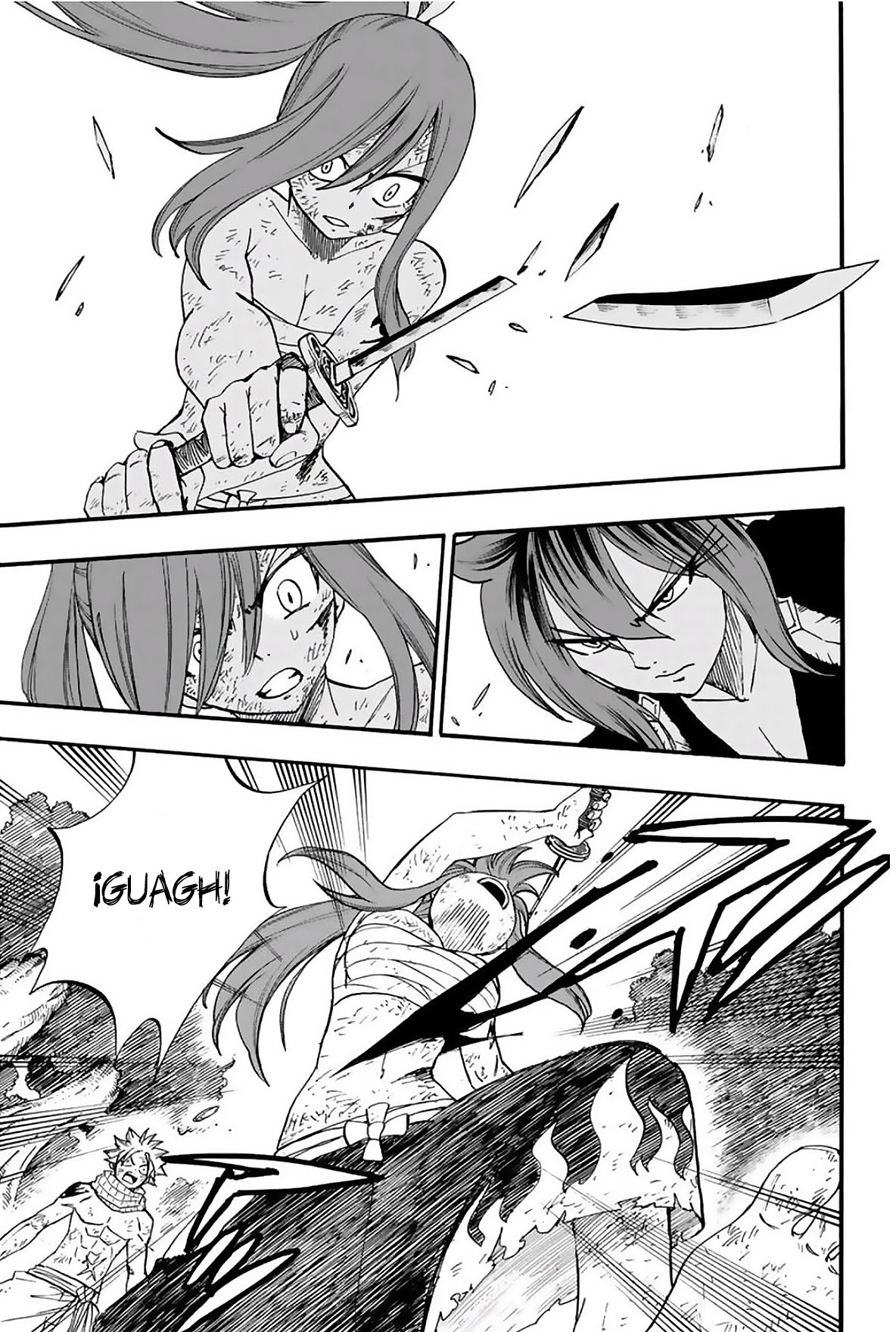 Fairy Tail: 100 Years Quest Capitulo 80: Suzaku página 15