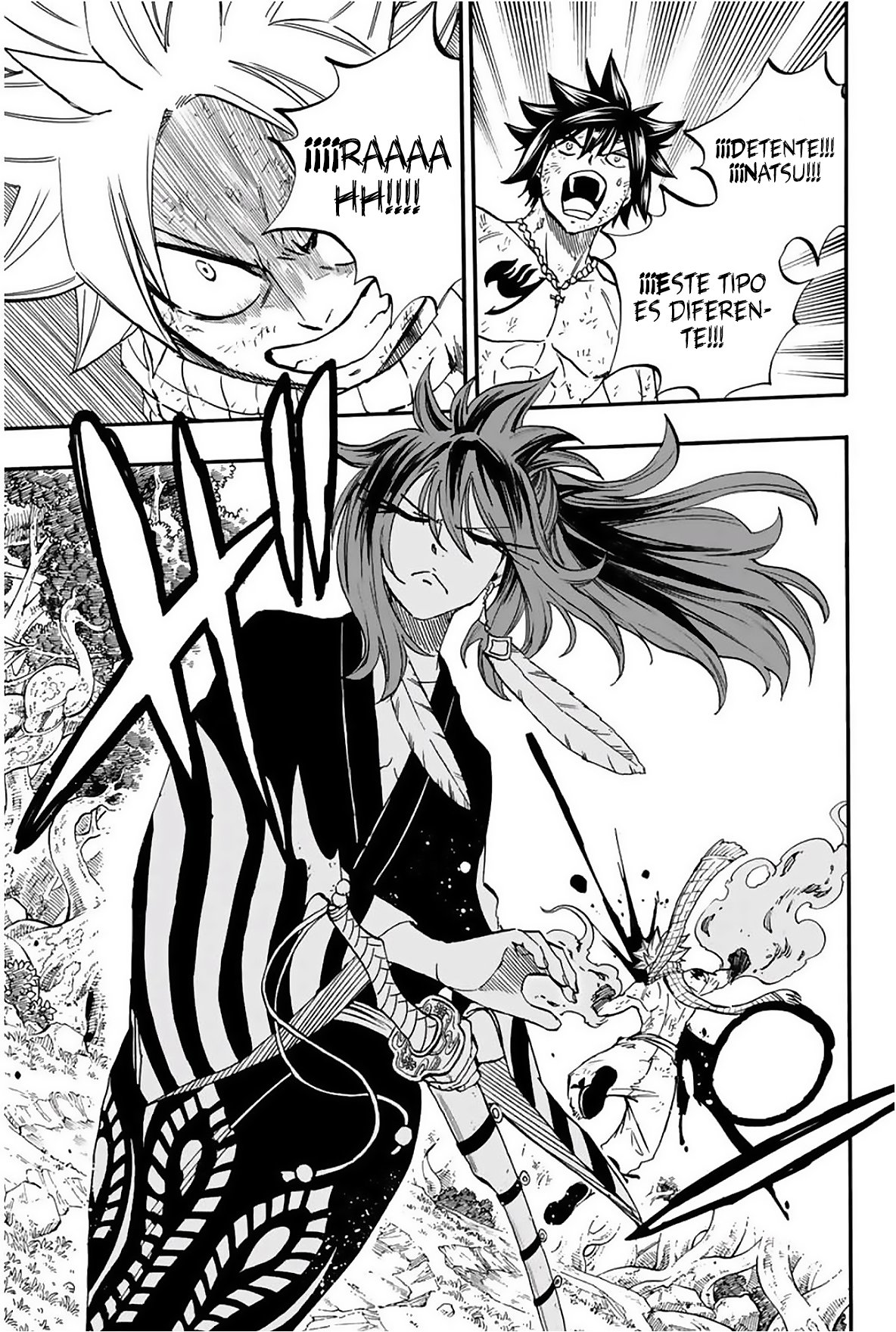 Fairy Tail: 100 Years Quest Capitulo 80: Suzaku página 17
