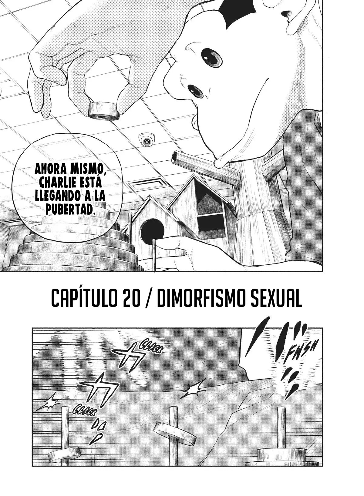 Darwin Incident Capitulo 20: Dimorfismo sexual página 6