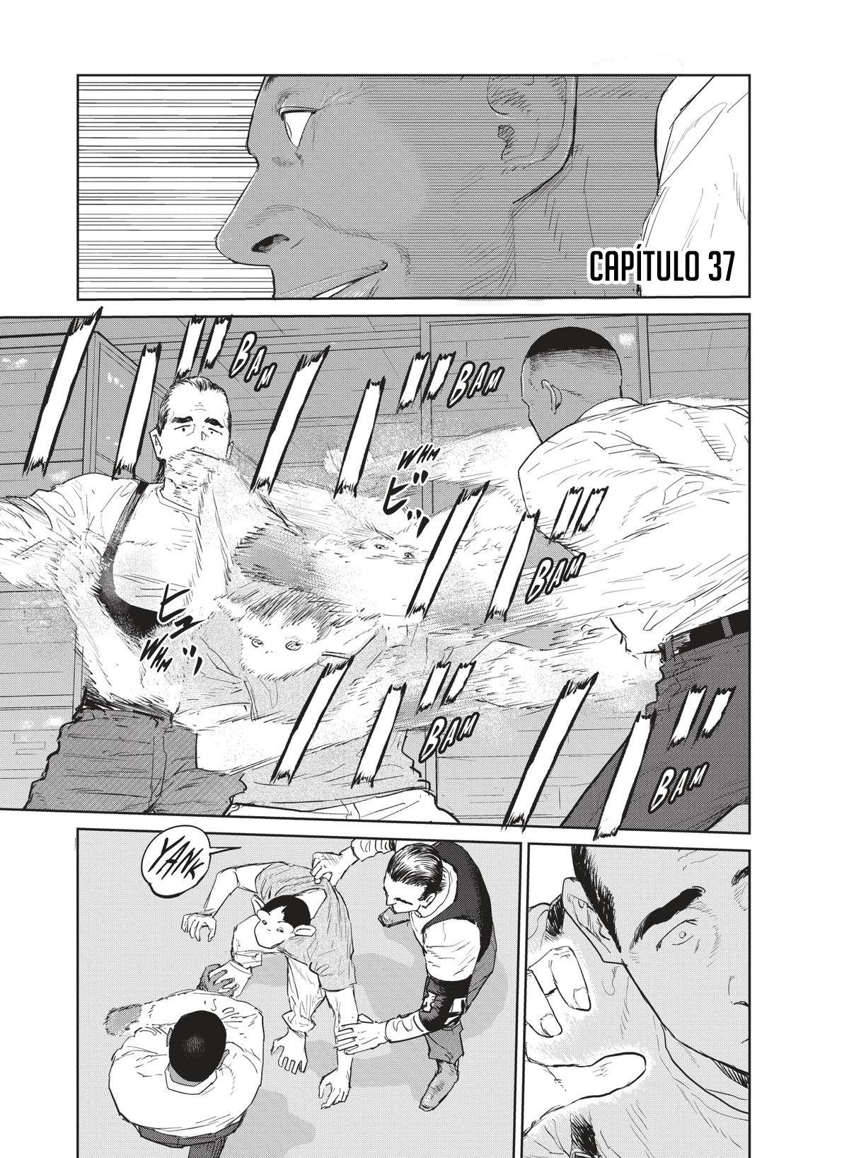 Darwin Incident Capitulo 37 página 4
