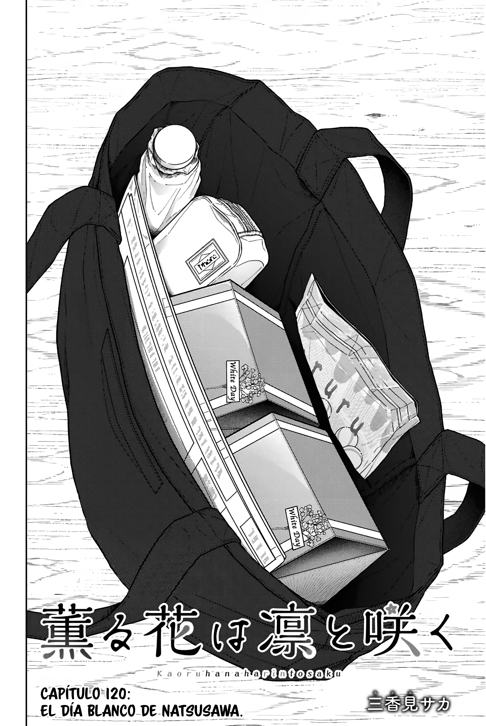 Kaoru Hana Wa Rin To Saku Capitulo 120 página 3