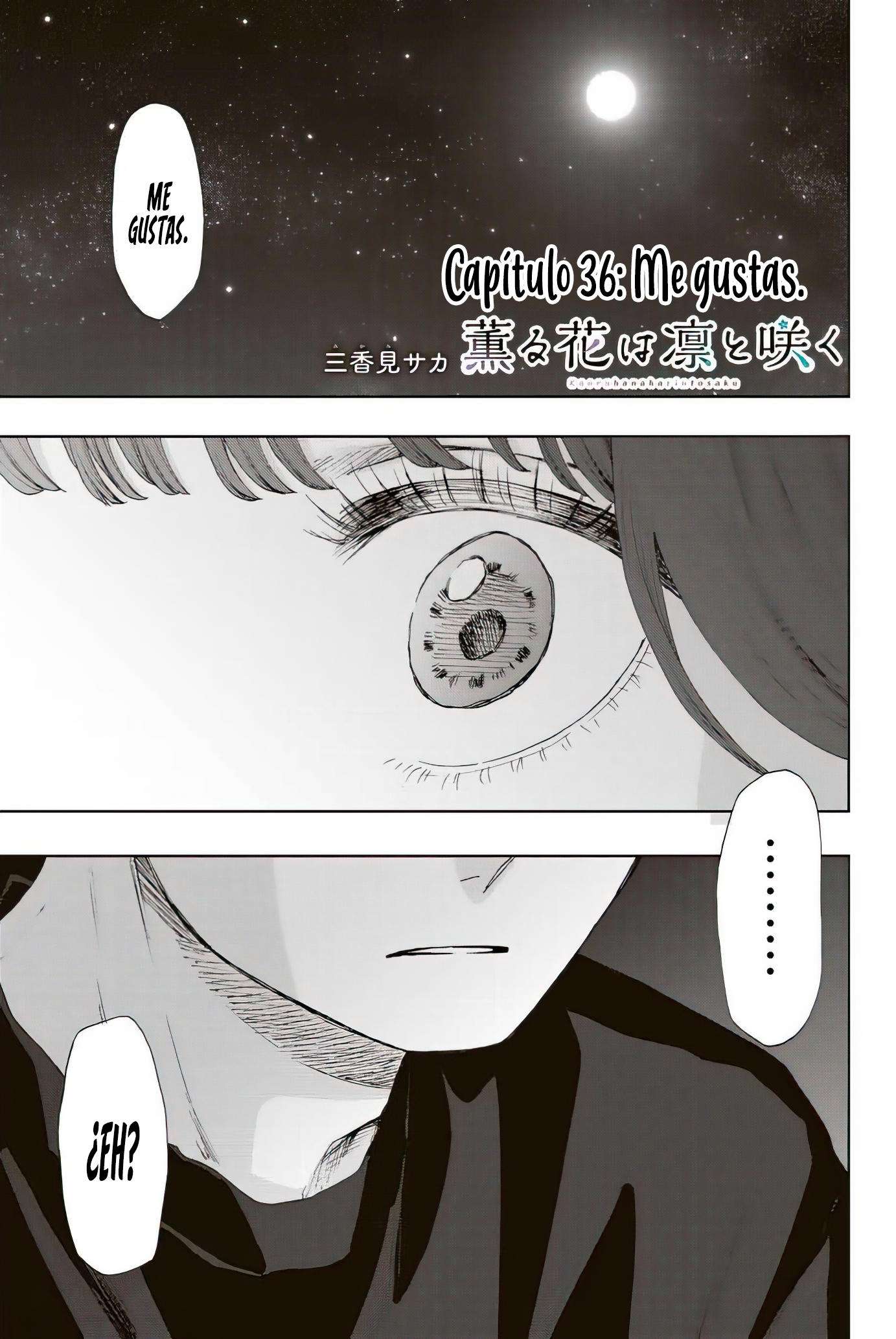 Kaoru Hana Wa Rin To Saku Capitulo 36 página 3