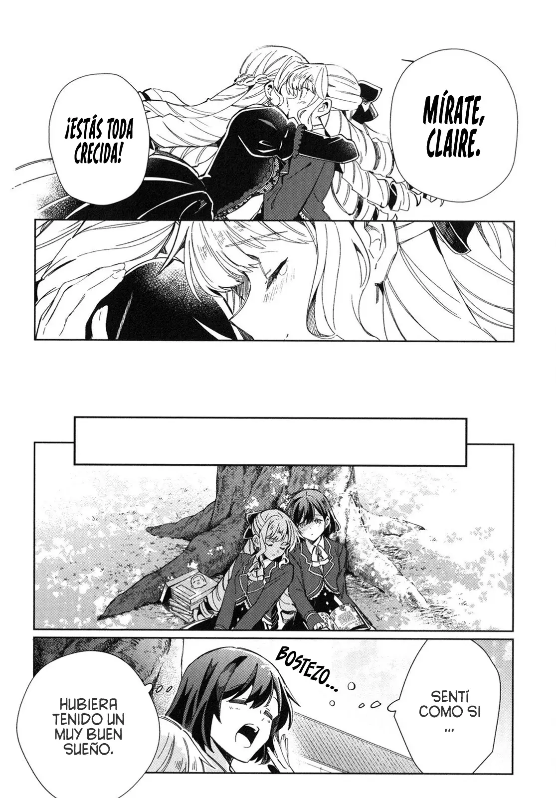 Watashi no Oshi wa Akuyaku Reijou Capitulo 36.5: Claire en el País de las Maravillas. página 19