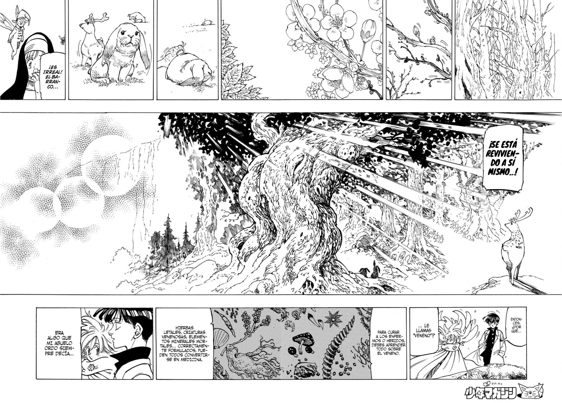 Mokushiroku no Yonkishi Capitulo 9: El Mezclador de veneno página 17