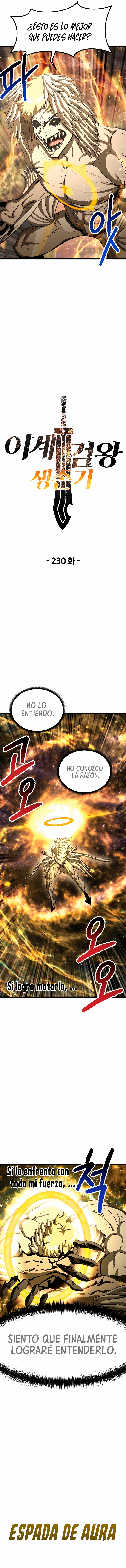 La Historia de Supervivencia de un Rey de la Espada en un Mundo de Fantasía Capitulo 231 página 5