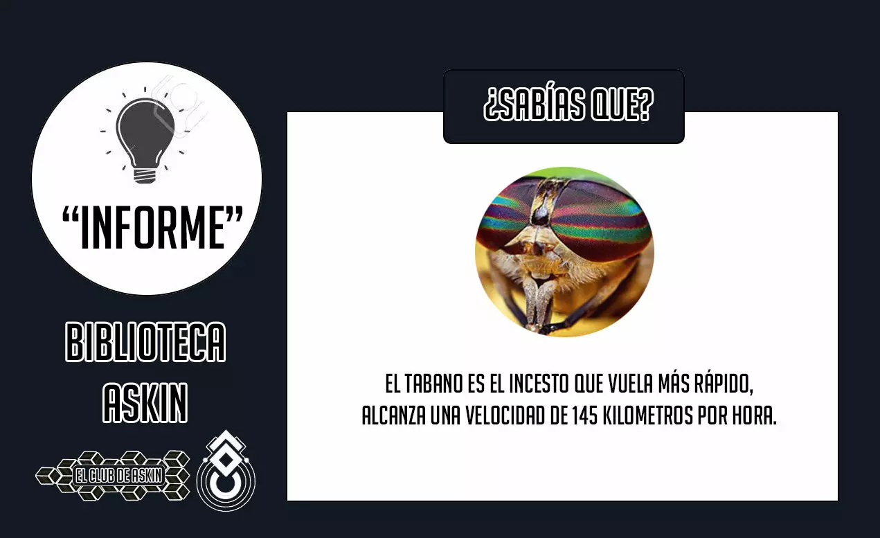 Tougen Anki Capitulo 11 página 23