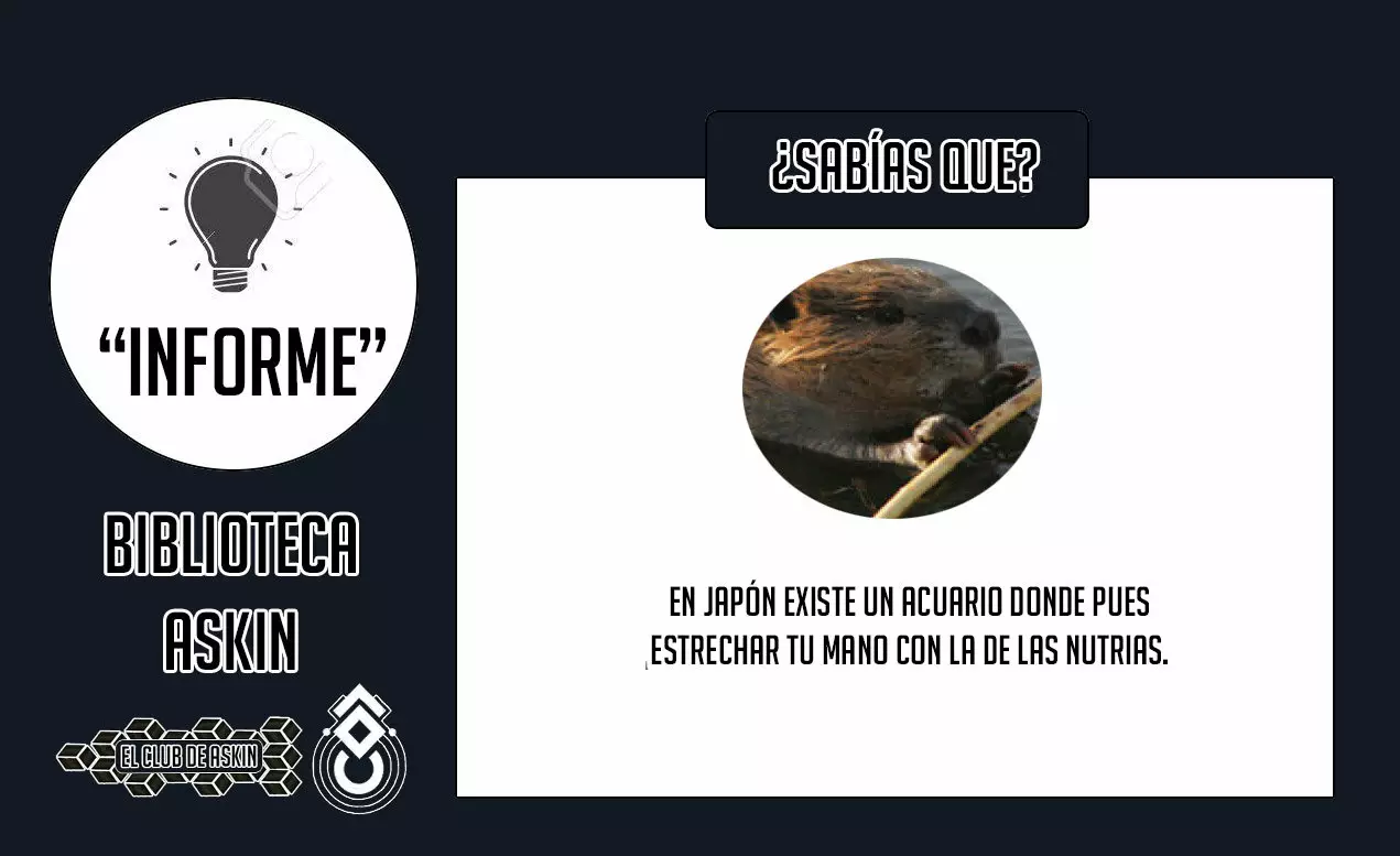 Tougen Anki Capitulo 20 página 22