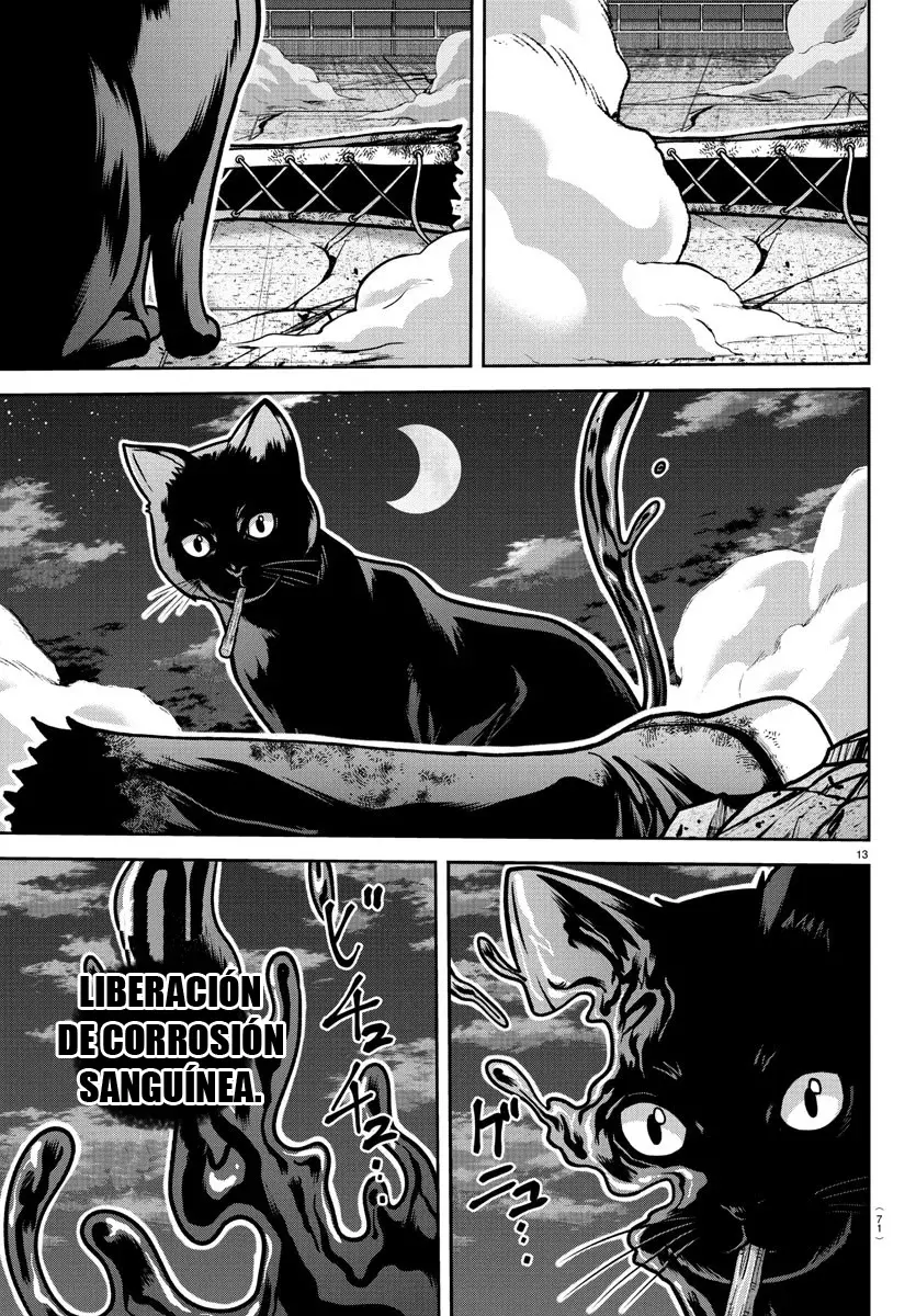 Tougen Anki Capitulo 184: Luna menguante página 14