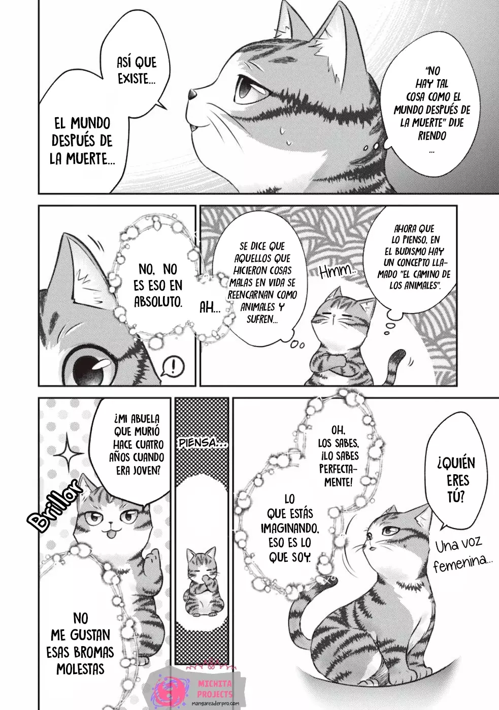 Soy un Gato Mago: La Cómoda Vida del Gato Atigrado Luke Capitulo 1 página 10