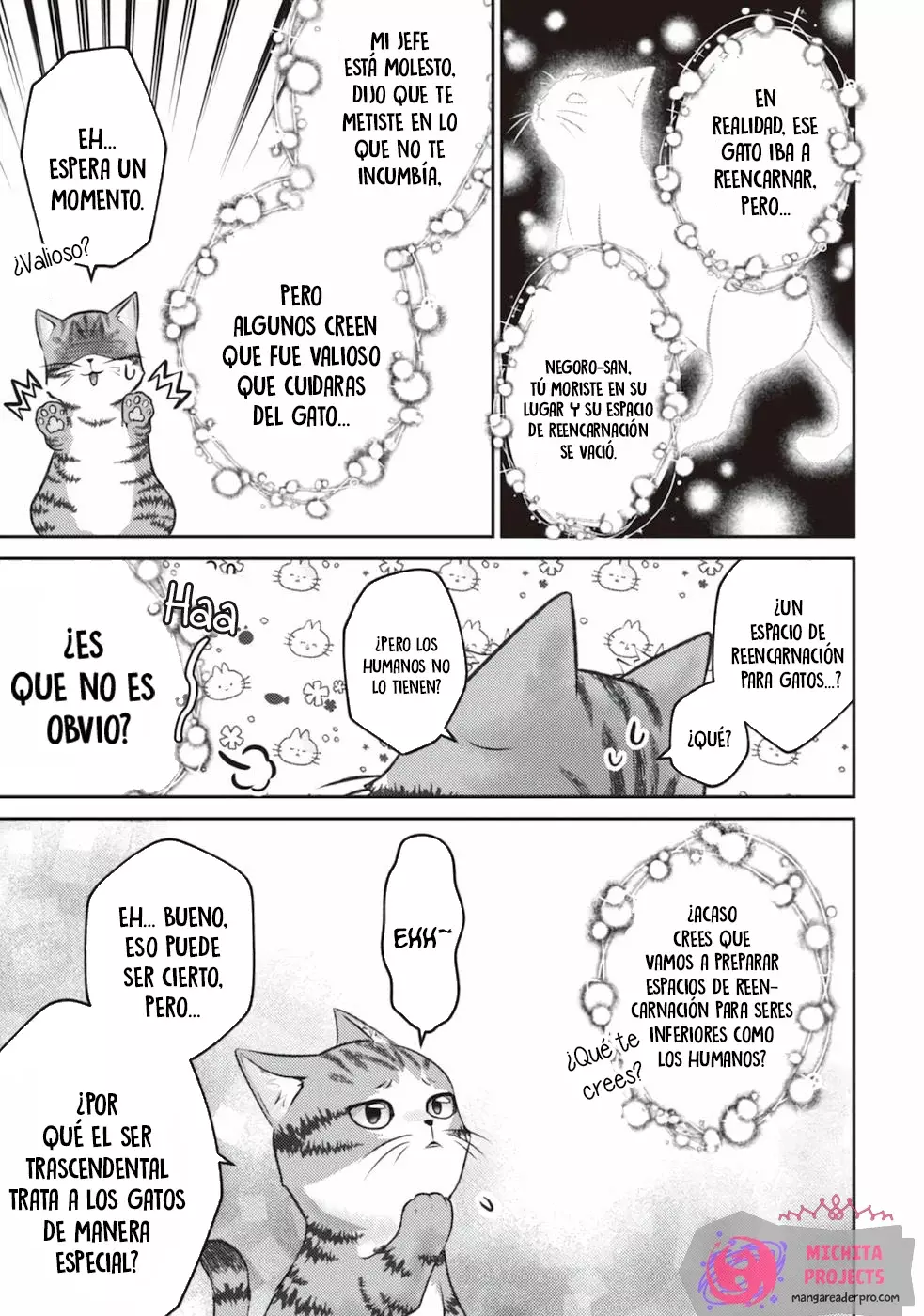 Soy un Gato Mago: La Cómoda Vida del Gato Atigrado Luke Capitulo 1 página 13