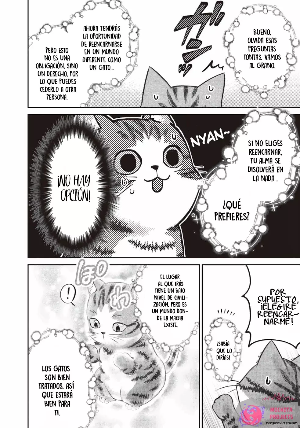 Soy un Gato Mago: La Cómoda Vida del Gato Atigrado Luke Capitulo 1 página 14