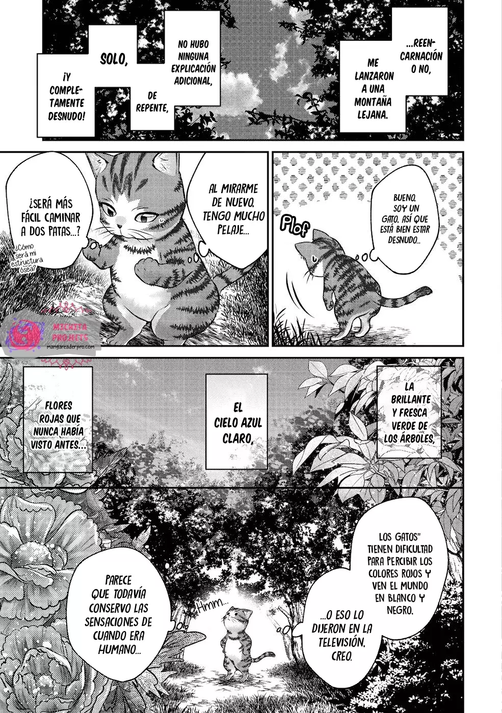 Soy un Gato Mago: La Cómoda Vida del Gato Atigrado Luke Capitulo 1 página 17