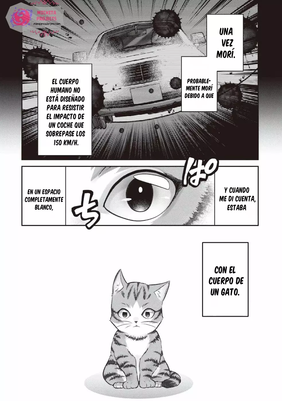Soy un Gato Mago: La Cómoda Vida del Gato Atigrado Luke Capitulo 1 página 8