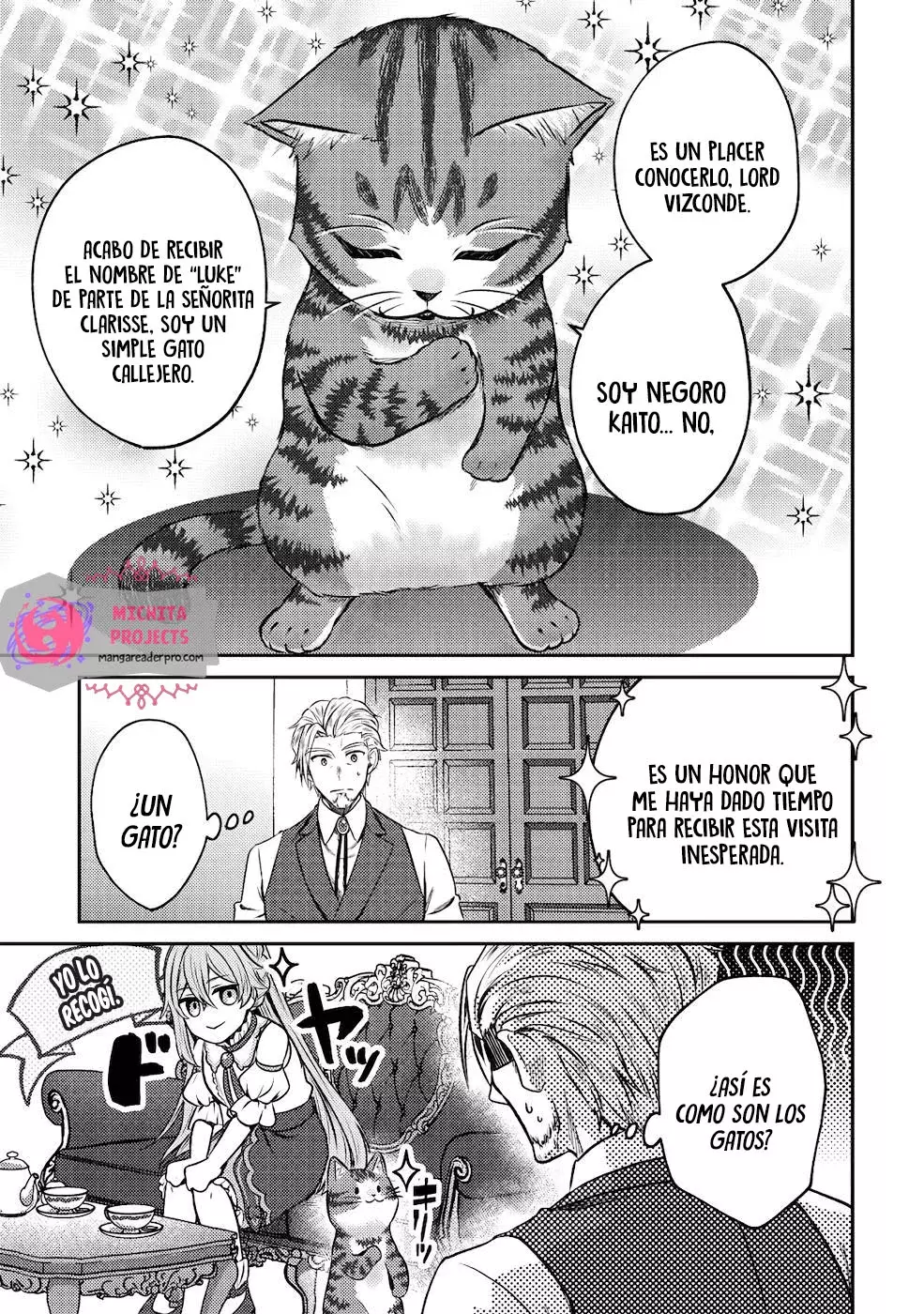 Soy un Gato Mago: La Cómoda Vida del Gato Atigrado Luke Capitulo 3 página 14