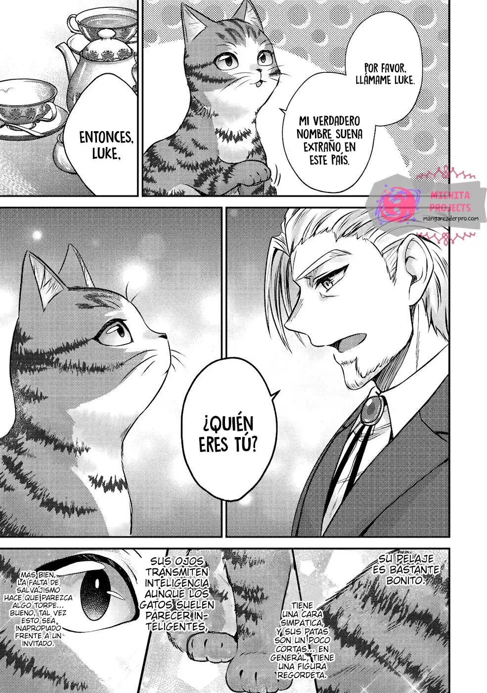 Soy un Gato Mago: La Cómoda Vida del Gato Atigrado Luke Capitulo 3 página 16