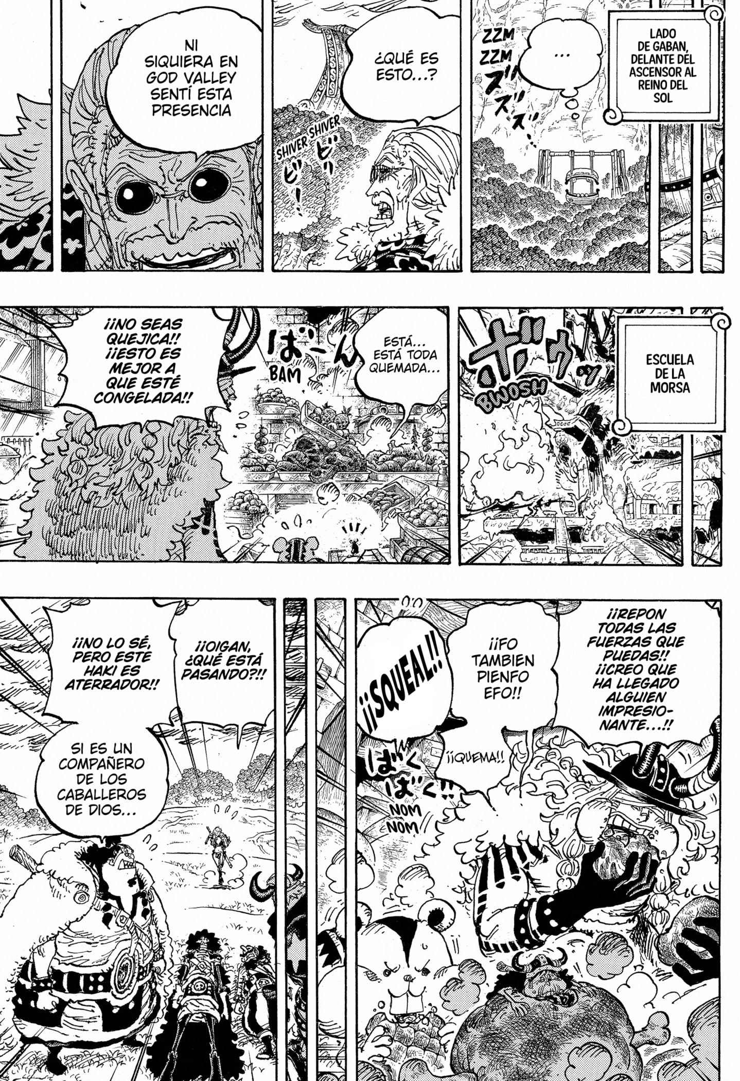 One Piece Capitulo 1180 página 13