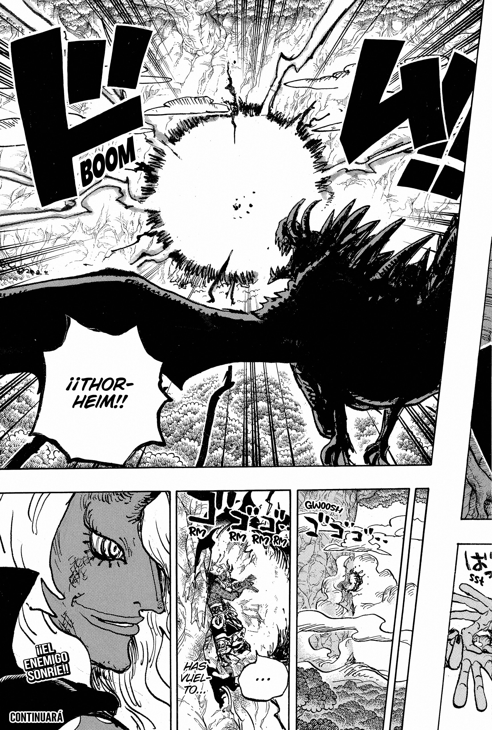 One Piece Capitulo 1181 página 15