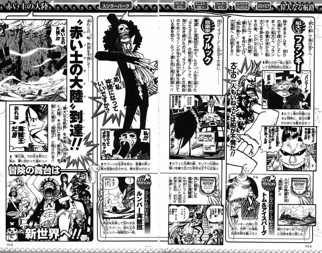One Piece Capitulo 0: Strong World Capitulo 0 página 10