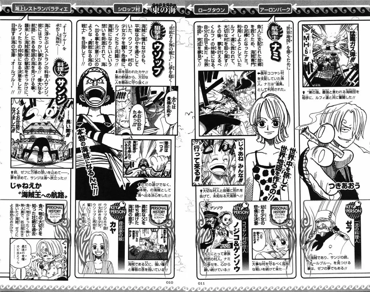 One Piece Capitulo 0: Strong World Capitulo 0 página 8