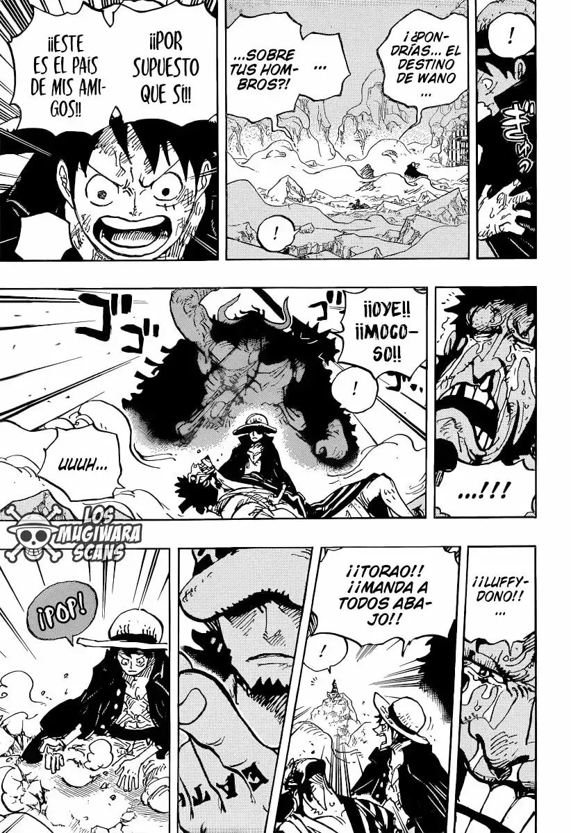 One Piece Capitulo 1000.5 página 14