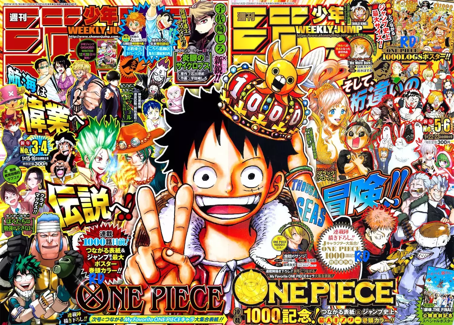 One Piece Capitulo 1000.5 página 19