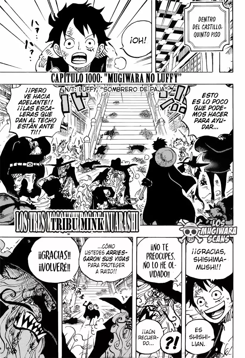 One Piece Capitulo 1000.5 página 3