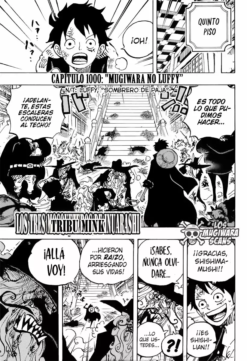 One Piece Capitulo 1000: Mugiwara No Luffy página 3