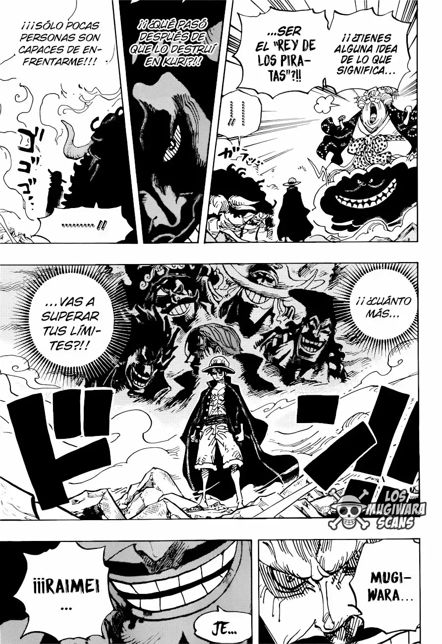 One Piece Capitulo 1001.5 página 4