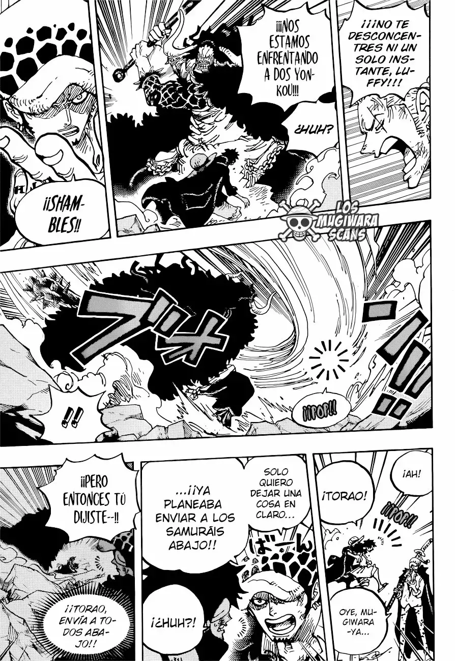 One Piece Capitulo 1001.5 página 8