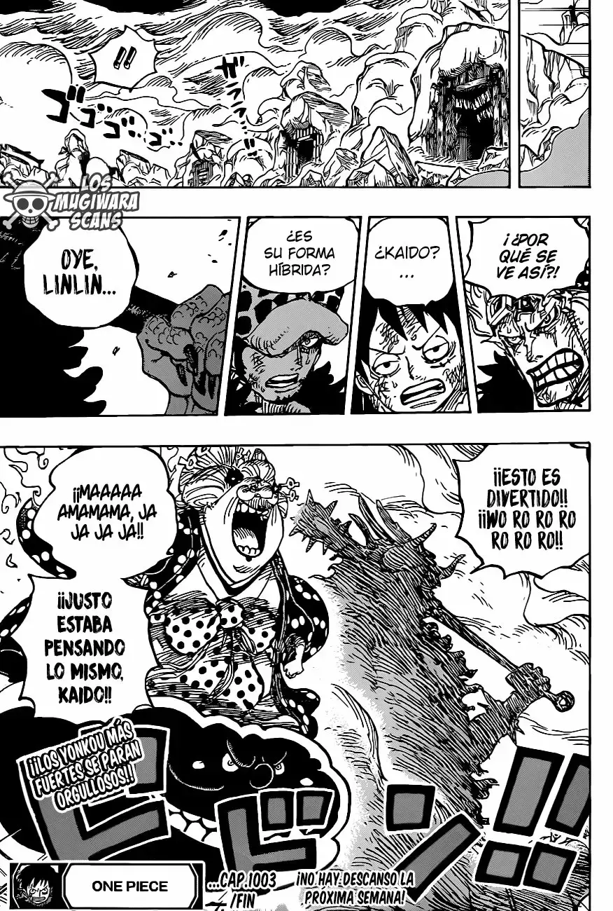 One Piece Capitulo 1003.5 página 14