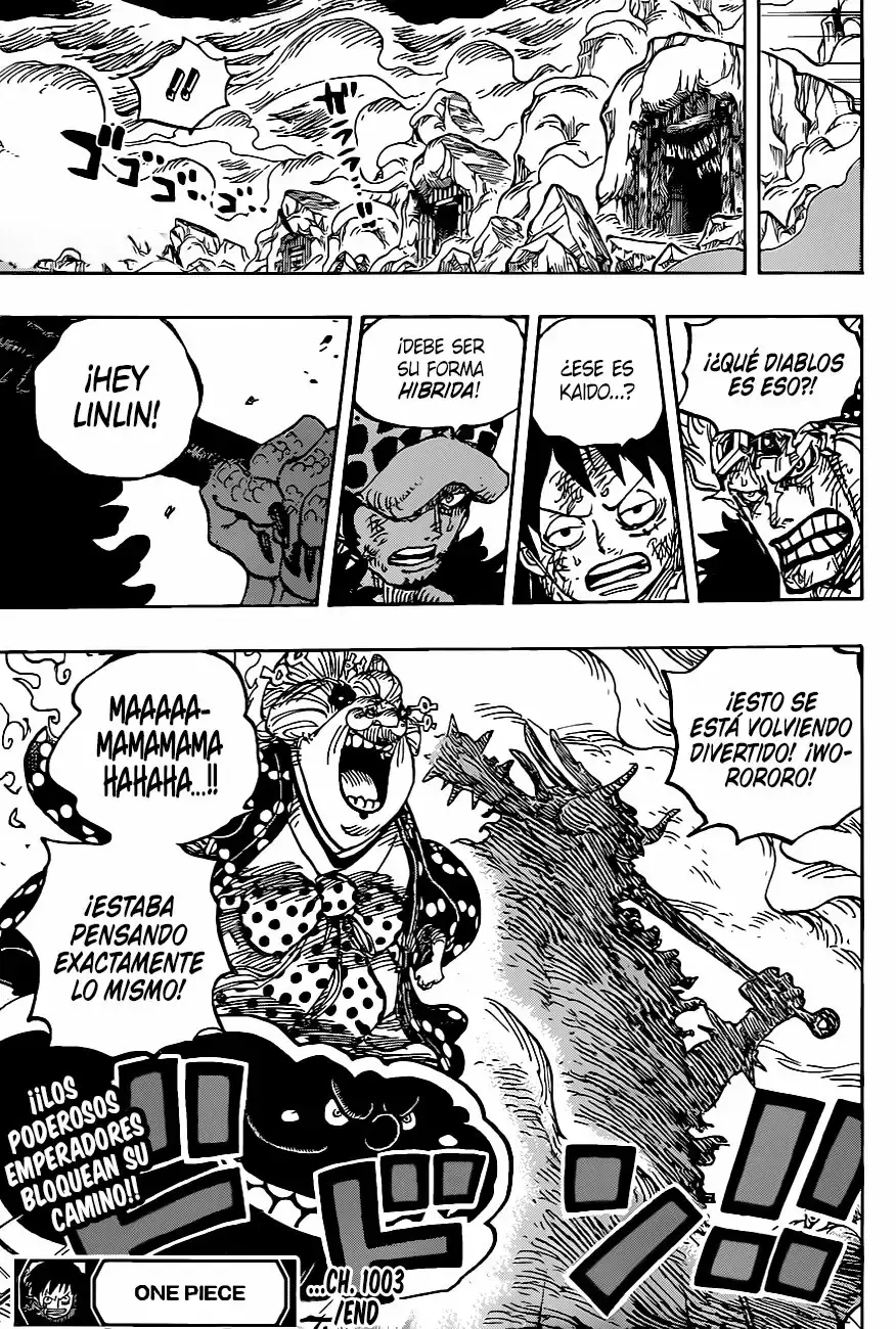 One Piece Capitulo 1003 página 13