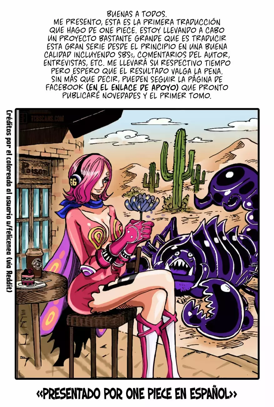 One Piece Capitulo 1003 página 14