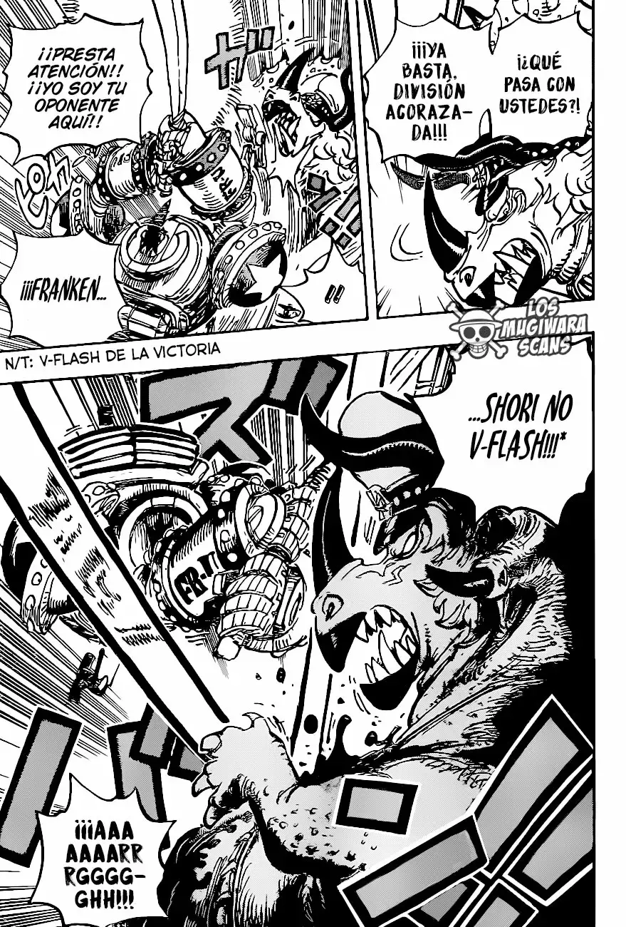 One Piece Capitulo 1004.5 página 13