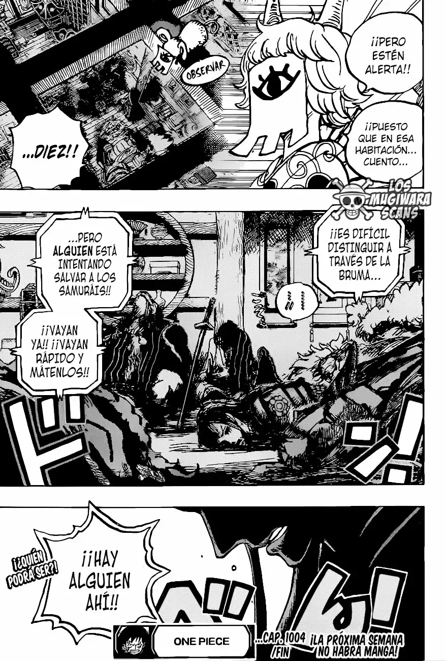 One Piece Capitulo 1004.5 página 17