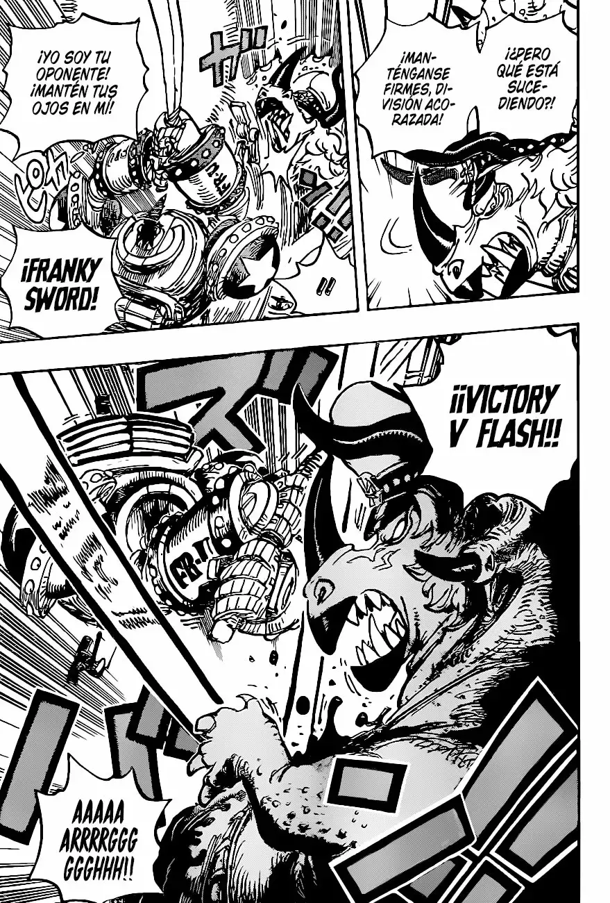One Piece Capitulo 1004 página 12