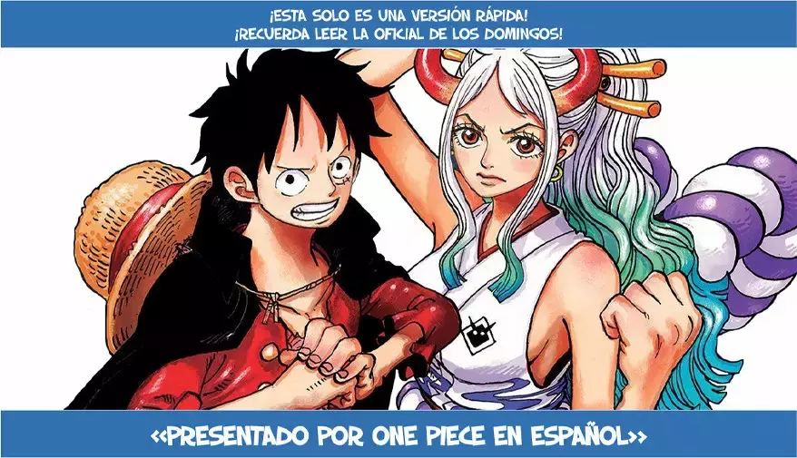 One Piece Capitulo 1004 página 17