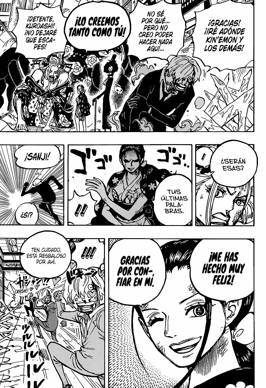 One Piece Capitulo 1005 página 12